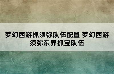 梦幻西游抓须弥队伍配置 梦幻西游须弥东界抓宝队伍